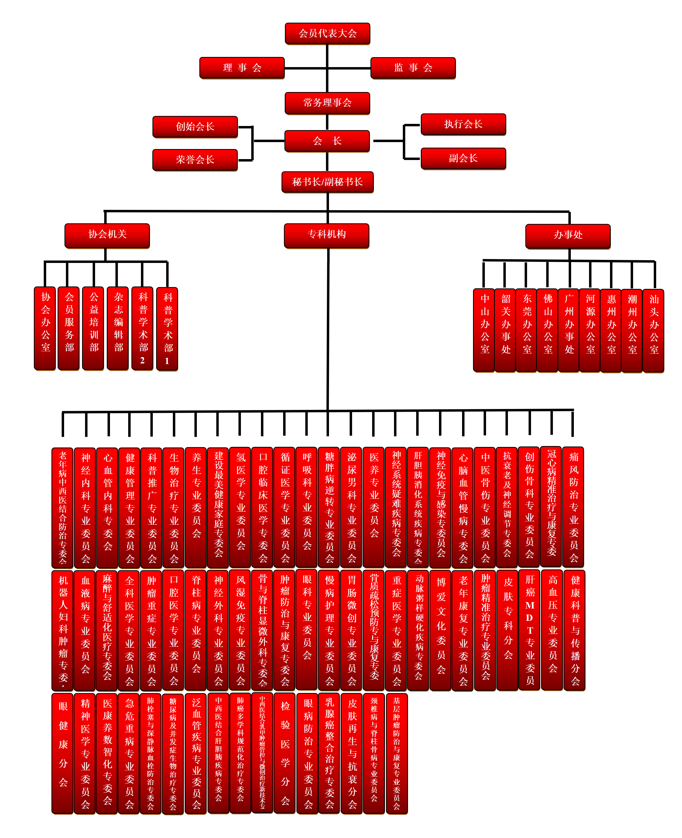 广东省老年保健协会组织结构图1_01(1).png